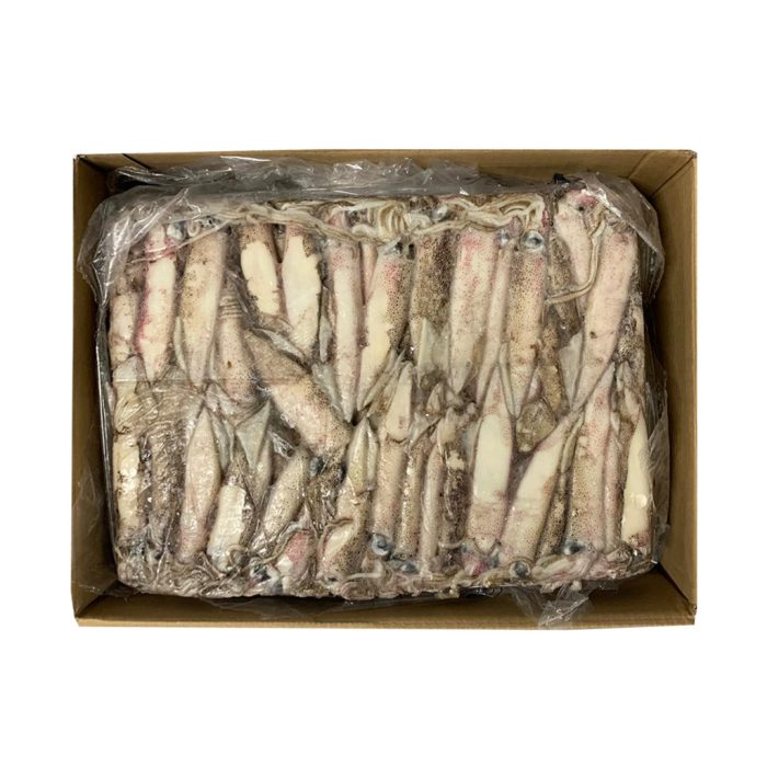 Lignji patagonski neočiščeni, 10-13 cm, 10 kg, zm.