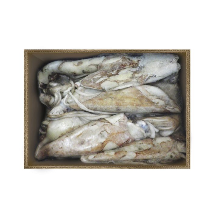 Lignji atlantski neočiščeni, 100-300 g, 5 kg, zm.