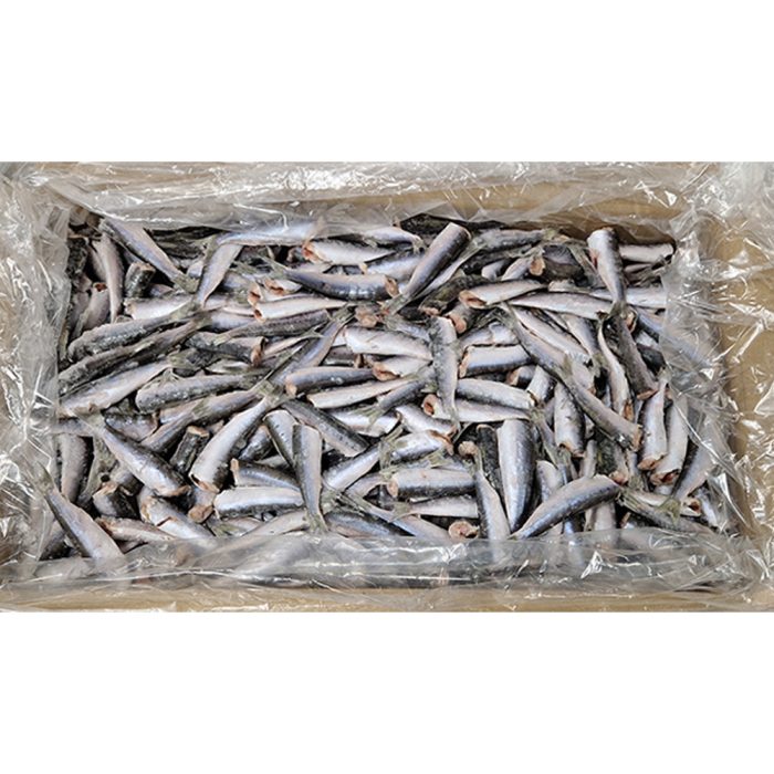 Jadranske sardine/sardele brez glave, 10 kg, zm.