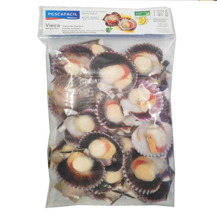 Školjke rdeče pokrovače (kanaštrele), 20-40, 1 kg, zm.