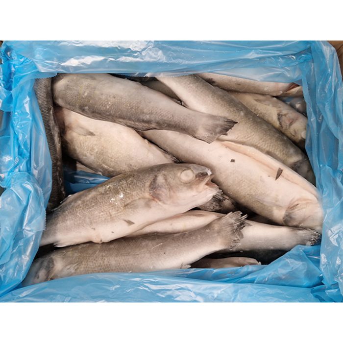 Brancin očiščen, 250-375 (200-300) g, 5 kg, zm.