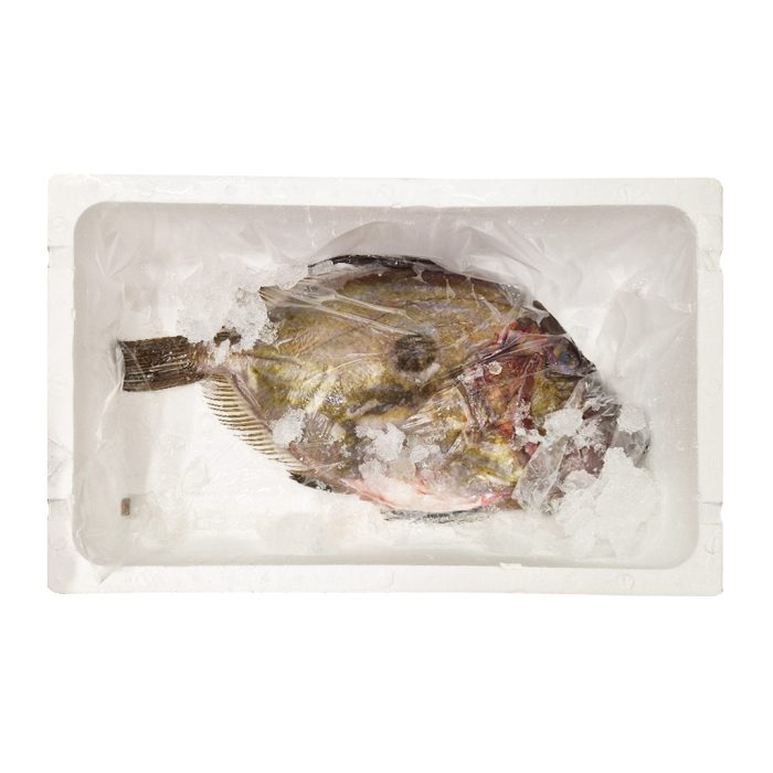 Kovač očiščen, 1-2 kg, svež