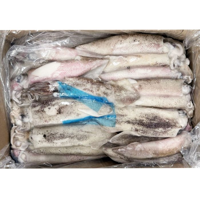 Lignji patagonski neočiščeni 12-15(16) cm, zm.