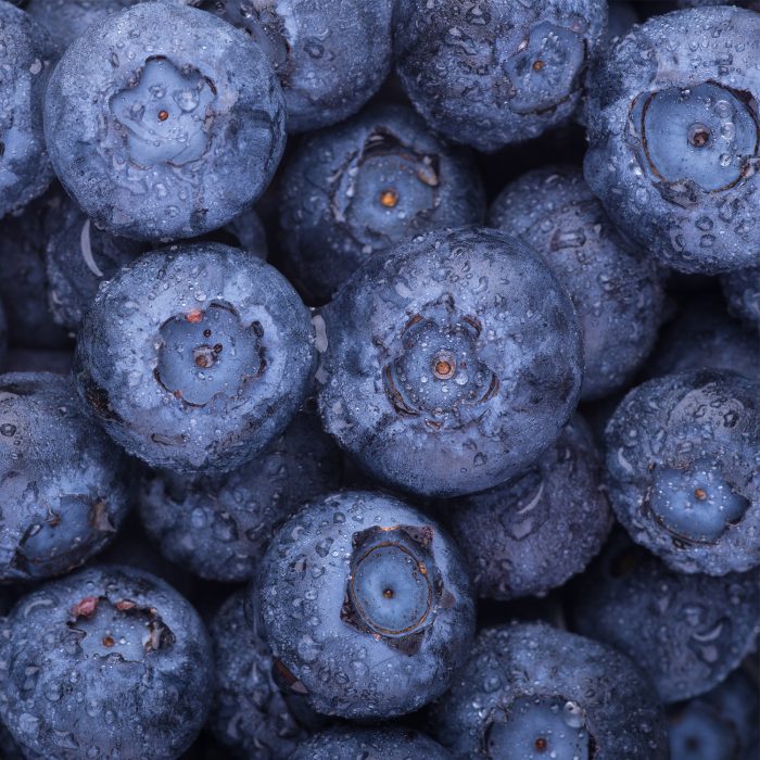 Borovnice, 10 kg, zm.