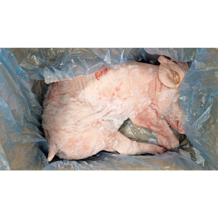 Svinjina, zamrznjena