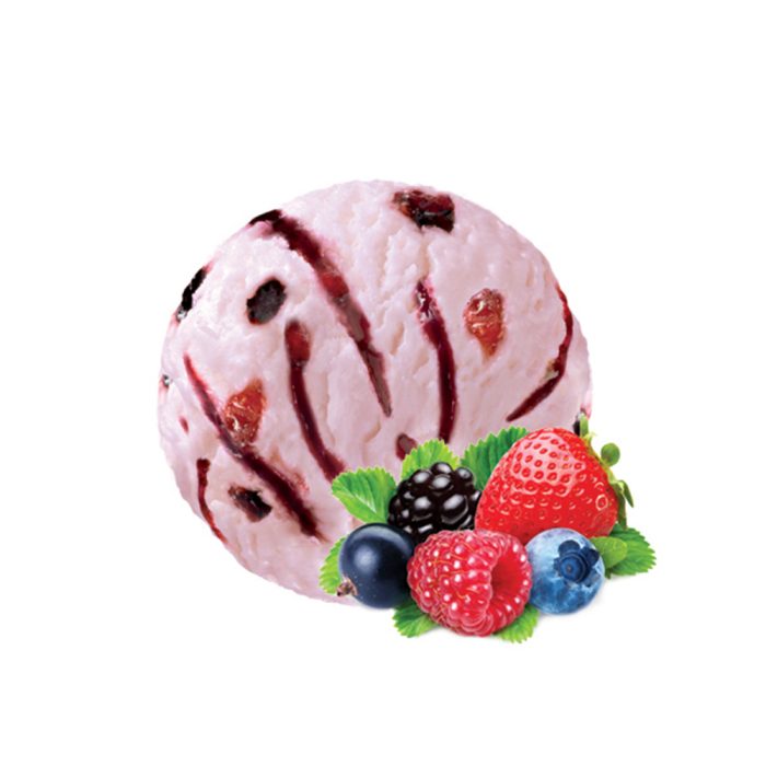 Sladoledna banjica jogurt gozdni sadeži, La Cremeria Nestle, 5 L