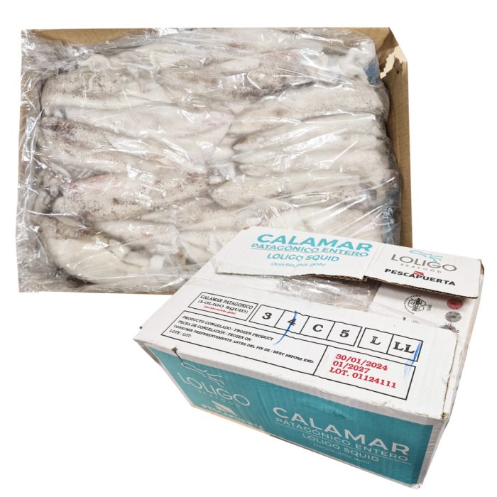 Lignji patagonski neočiščeni, 12-16, Loligo, 5 kg, zm.