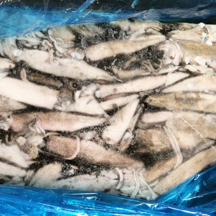 Lignji patagonski neočiščeni 13-16, 12,5 kg, zm.