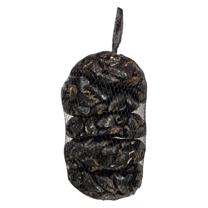 Školjke klapavice (dagnje), sveže