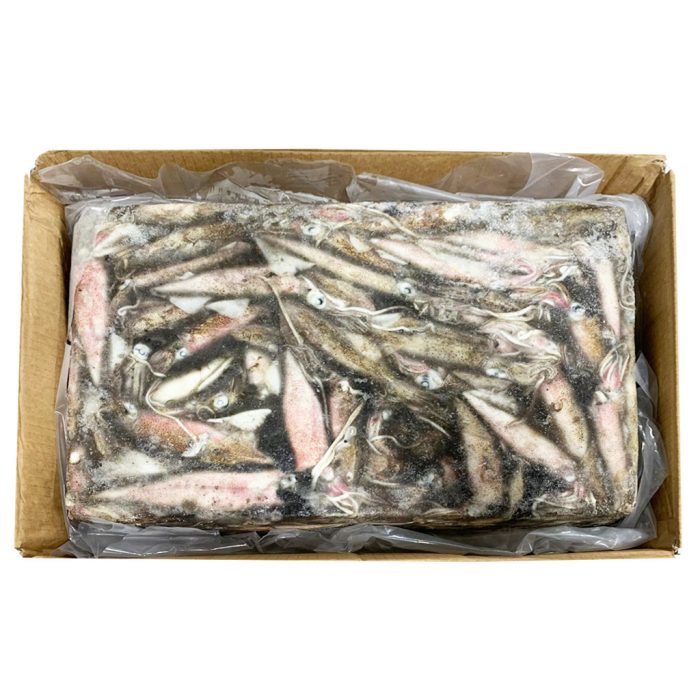 Lignji patagonski neočiščeni, 12-14, 12,5 kg, zm.