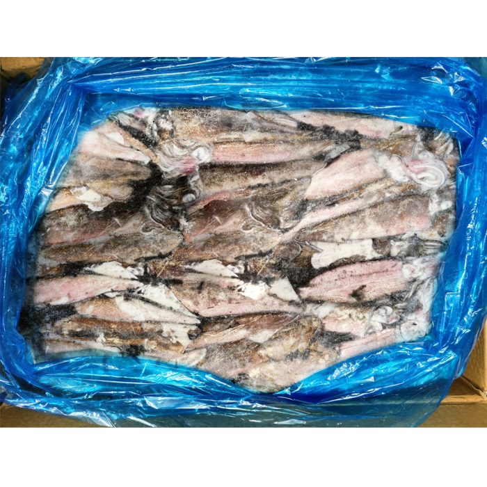 Lignji patagonski neočiščeni, 14-17, 18 kg, zm.