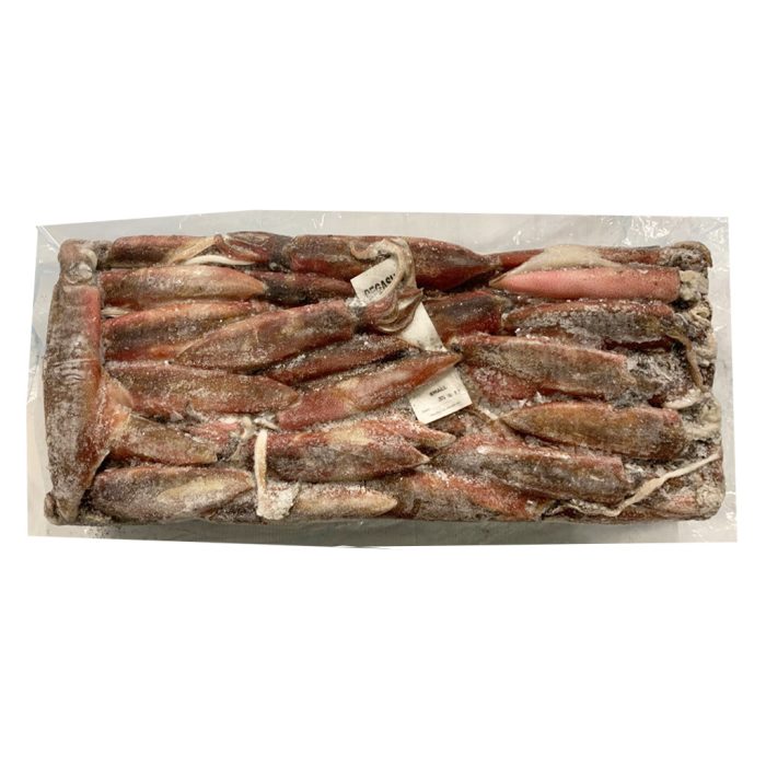 Lignji južnoafriški neočiščeni, S, 11 kg, zm.