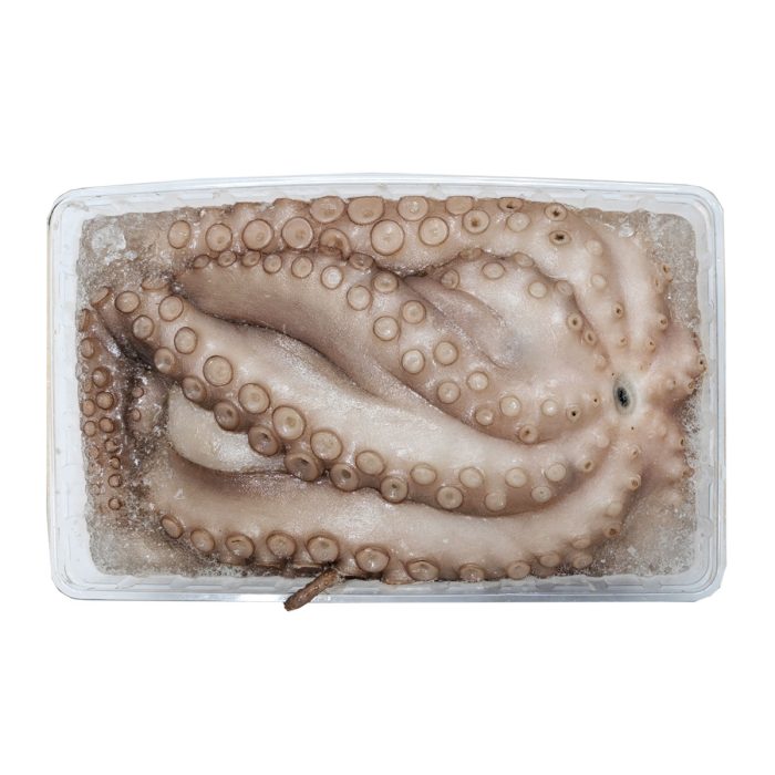 Hobotnica, Moyseafood, zm.