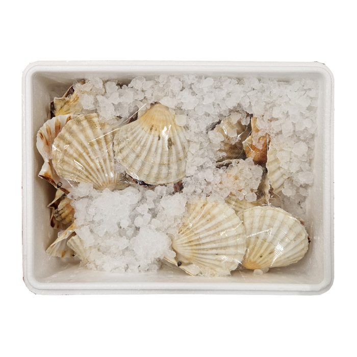 Školjke grebenaste pokrovače polovičke, 3 kg, sveže
