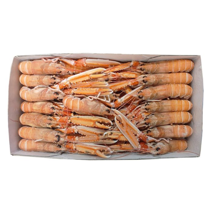 10763-skampi-15-20-kos-premium-macduff-3kg-zm-jpg Škampi 12-15, Macduff, 3 kg, zm.