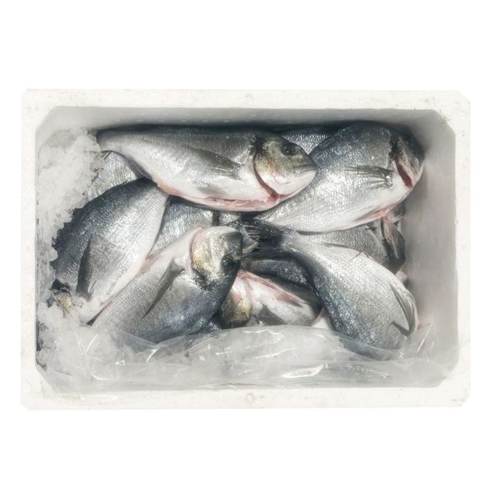 Orada očiščena 330-500 g, HR, sveža
