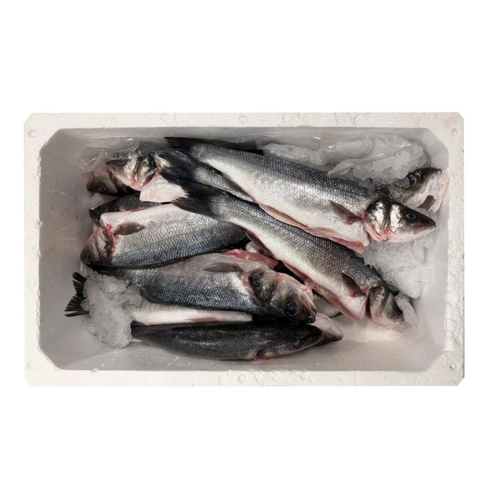 Brancin neočiščen 330-500 g, HR, svež