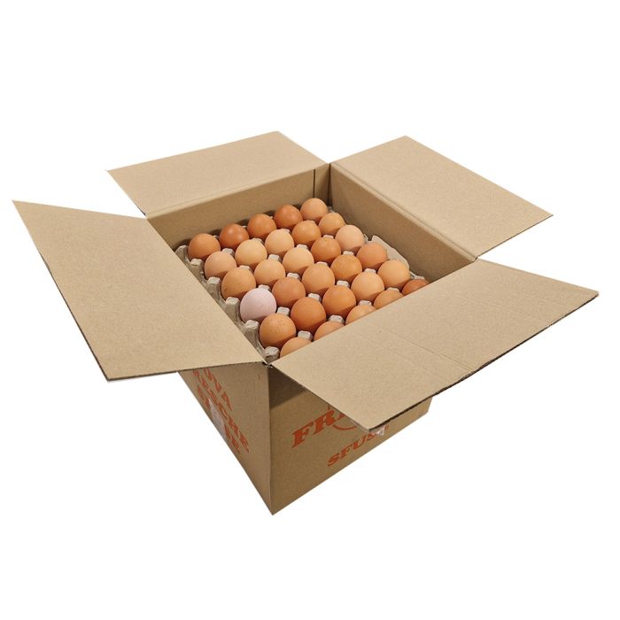 Jajca L180 hlevska reja, 180 kos